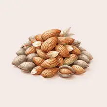 Amandes