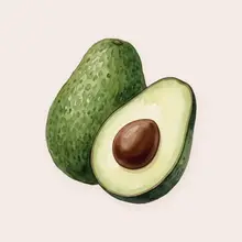 Avocat