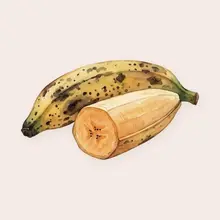 Banane plantain à l'aquarelle