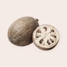 Baobab à l'aquarelle