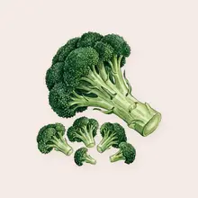 Brocoli
