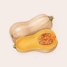 Butternut