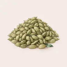 Cardamome