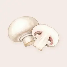 Champignon de Paris