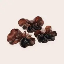 Champignon noir