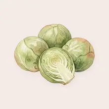 Chou de Bruxelles