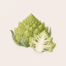 Chou romanesco