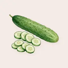 Concombre