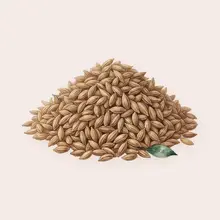Cumin