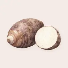 Dachine