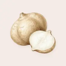 Jicama