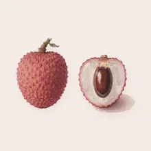 Litchi à l'aquarelle