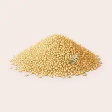 Millet