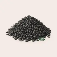 Nigelle