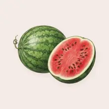 Pastèque