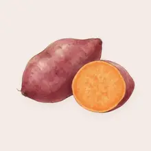 Patate douce