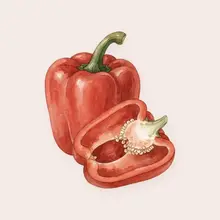 Poivron
