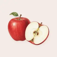 Pomme