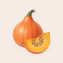 Potimarron