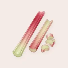 Rhubarbe