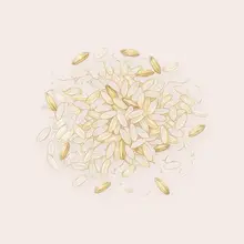 Riz