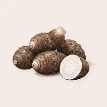 Taro