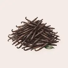 Vanille
